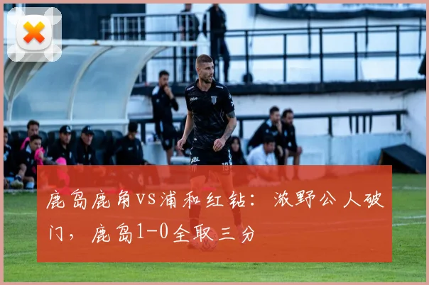 鹿岛鹿角vs浦和红钻：浓野公人破门，鹿岛1-0全取三分