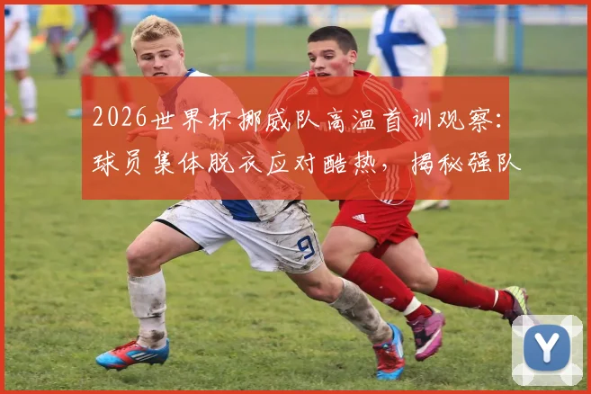 2026世界杯挪威队高温首训观察:球员集体脱衣应对酷热,揭秘强队备战策略与高温训练方法