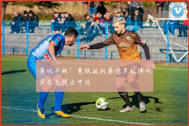 争议不断！曼联就利桑德罗红牌向英足总提出申诉